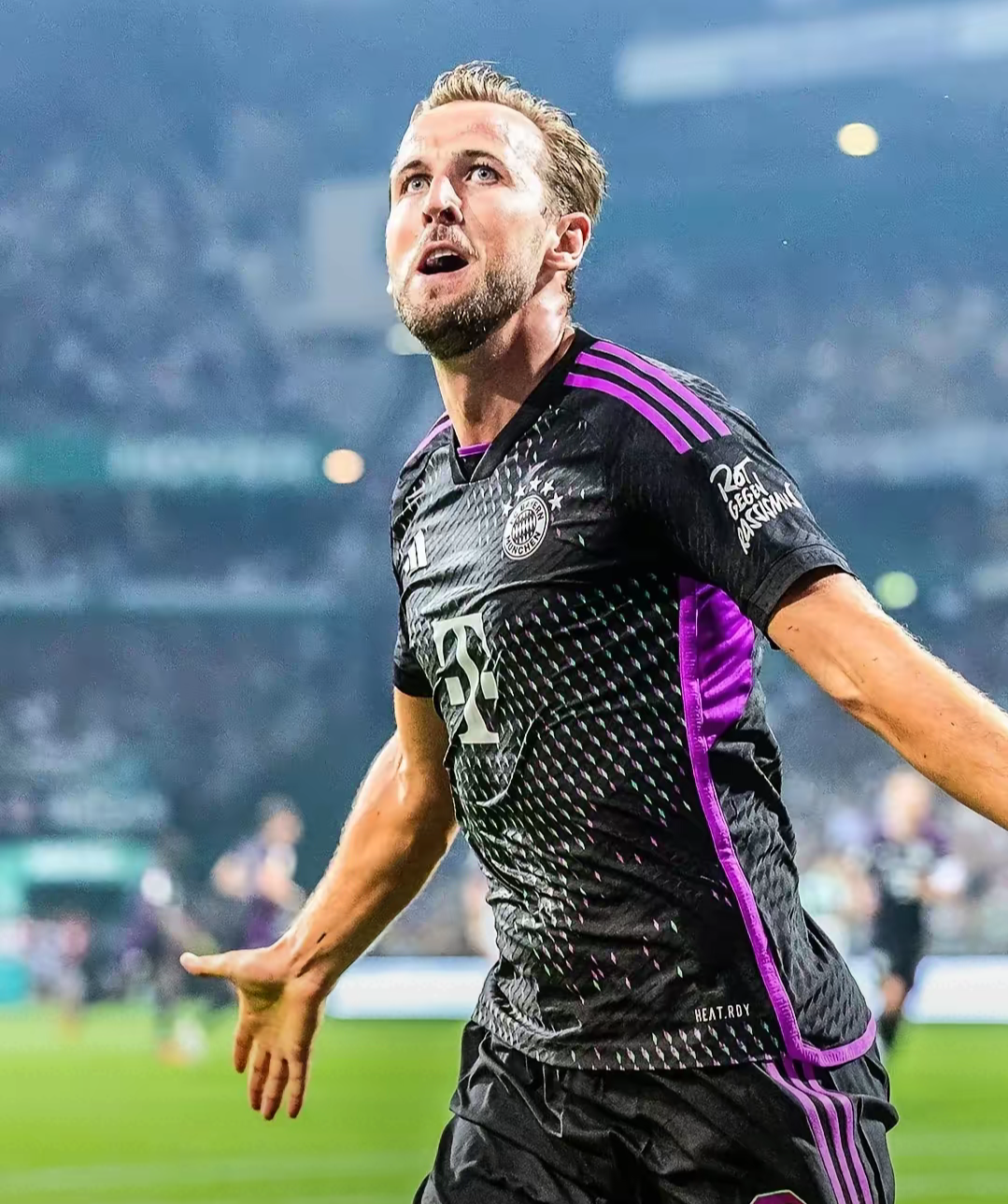 夺冠首场状态出色，澳大利亚队观众沸腾！，凯恩重返赛场热度持续攀升的简单介绍